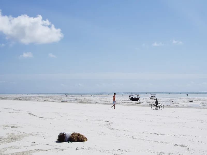 Ocean Wire Electric electricians serving Holmes Beach